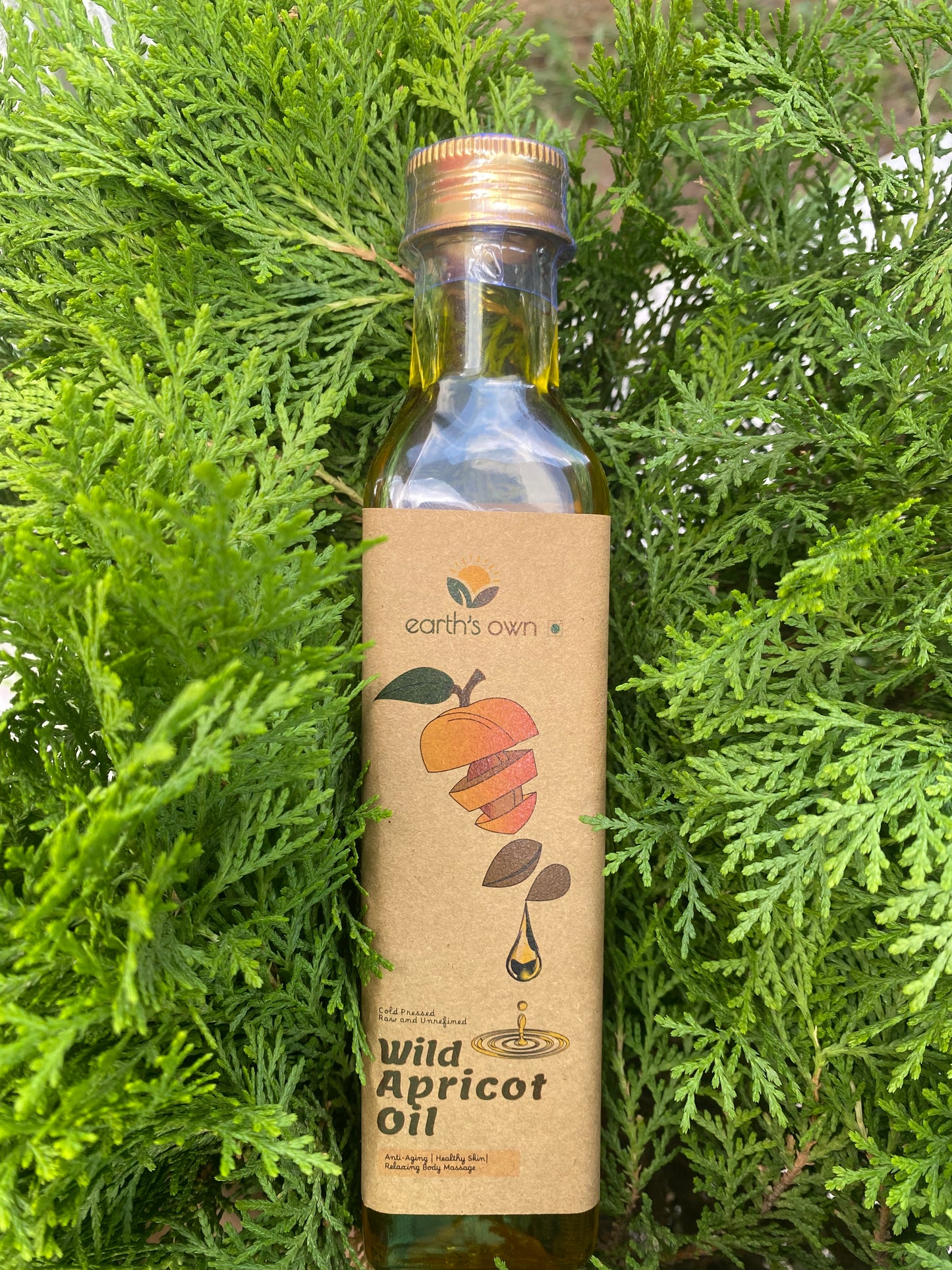 Order Wild Apricot Oil Online