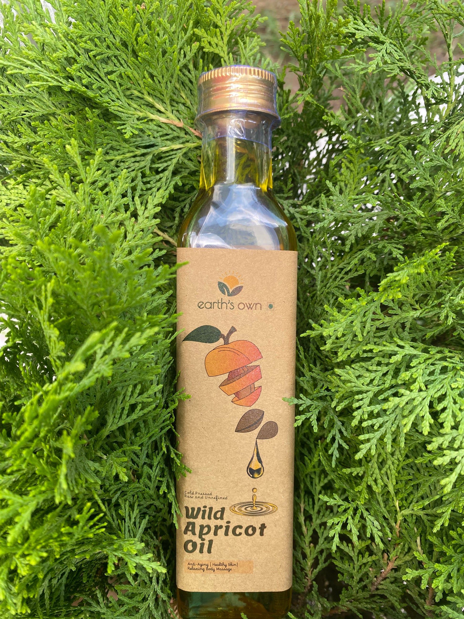 Order Wild Apricot Oil Online