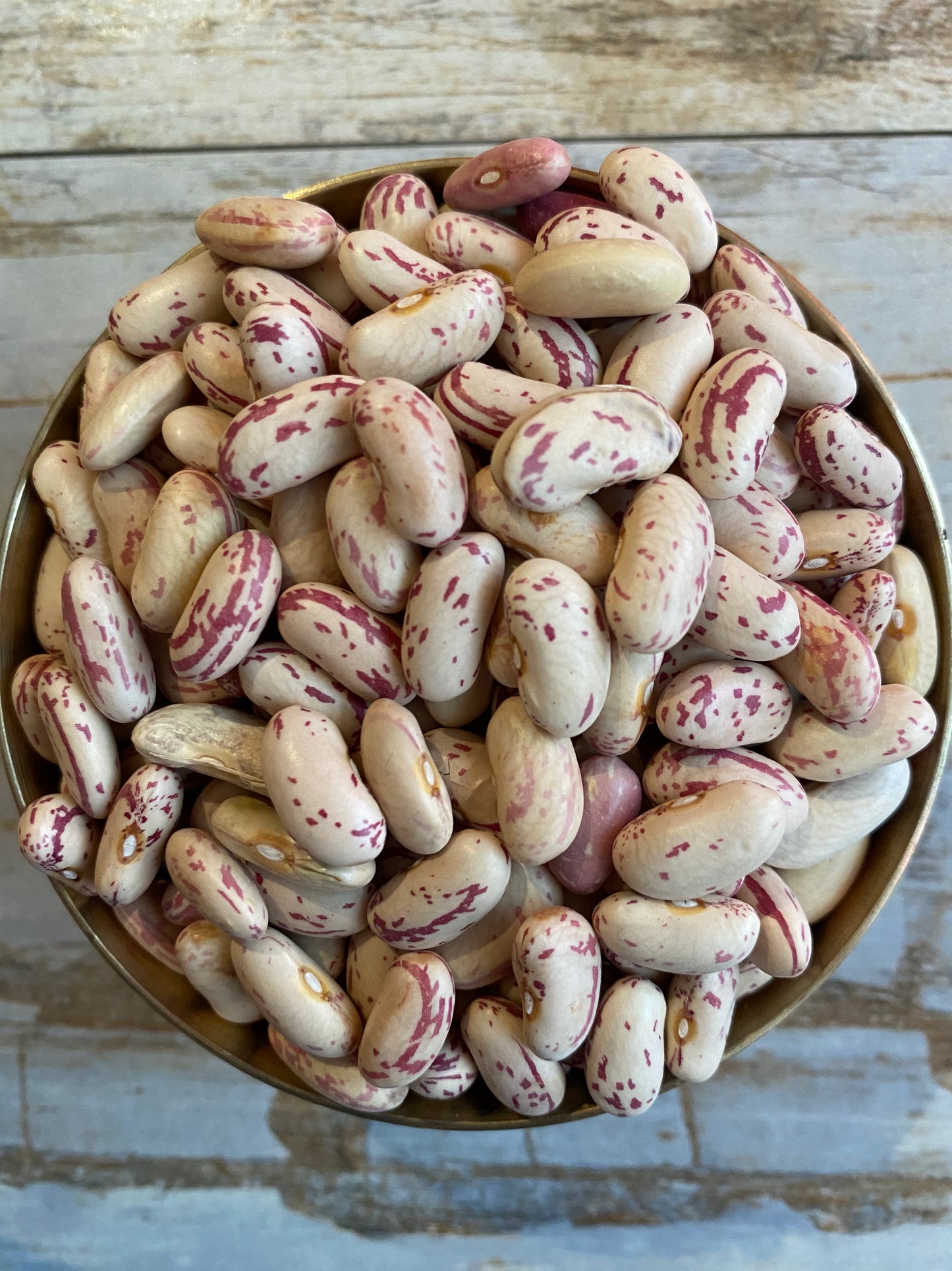 Buy Kinnauri White Chaitra Rajma