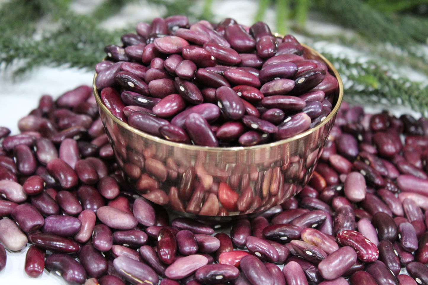 Kinnaur Rajma (Red)