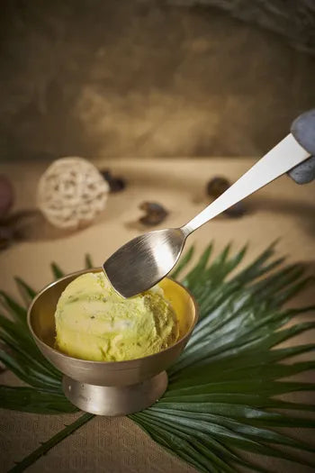 Ice Cream Spoon