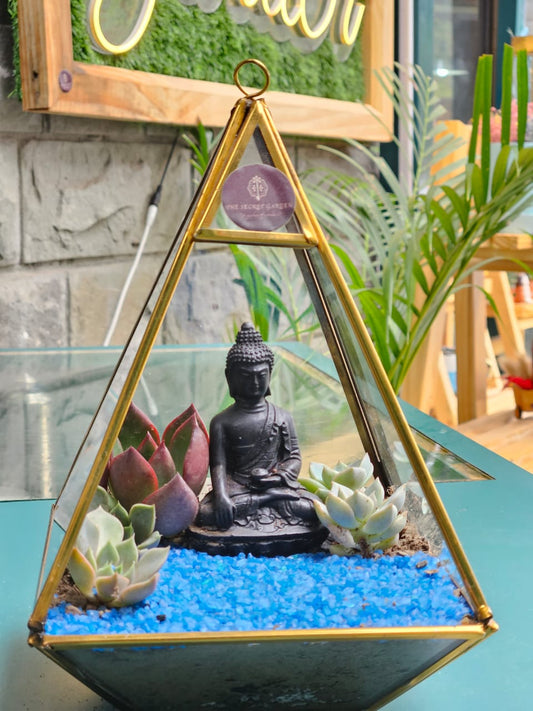 The Lord Buddha Blue Terrarium