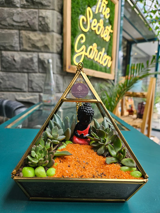 The Lord Buddha Orange Terrarium