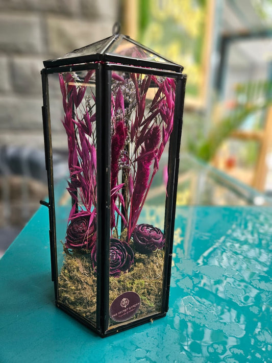 Wine Colored Lanterns